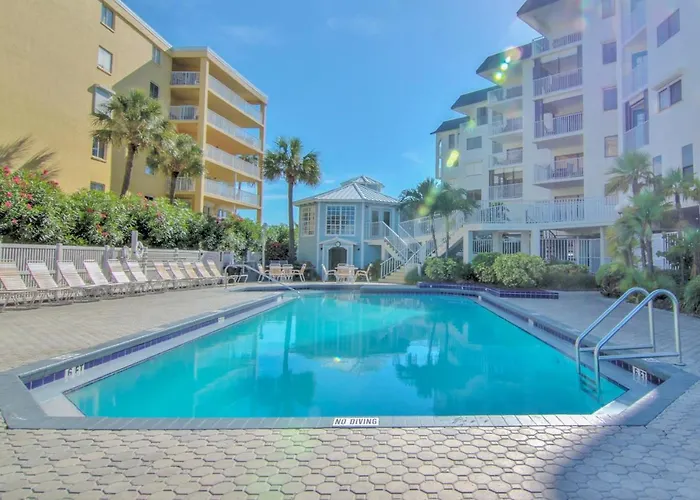 Palms 508